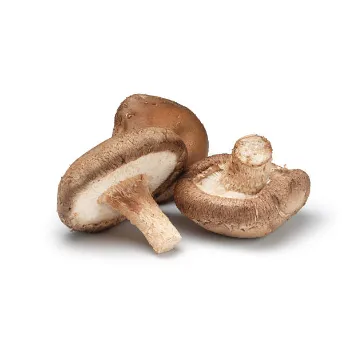 Mushroom (22)-2944176-63566.webp
